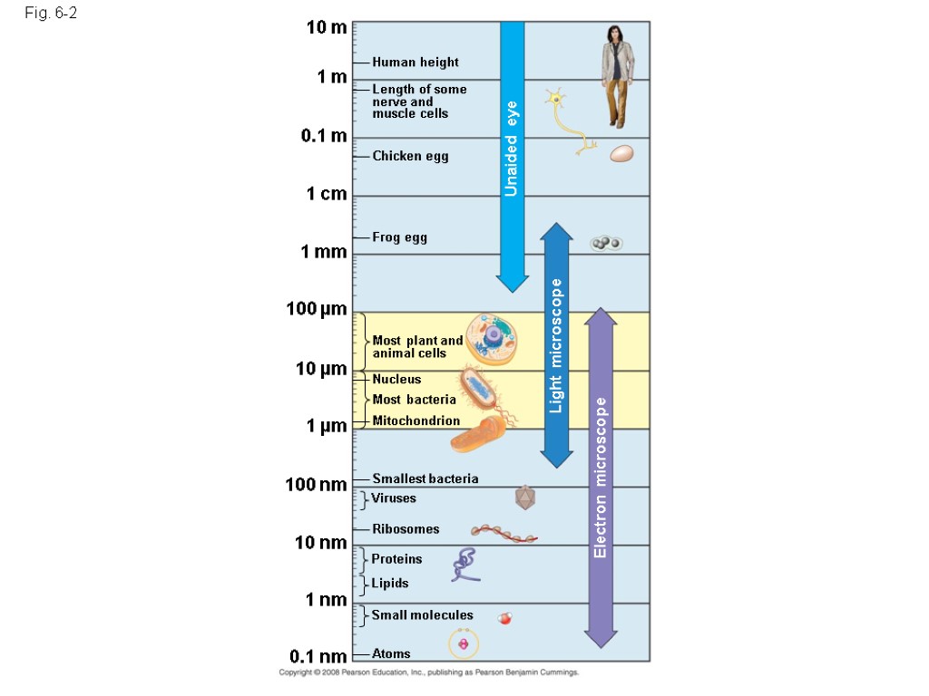 Fig. 6-2 10 m 1 m 0.1 m 1 cm 1 mm 100 µm